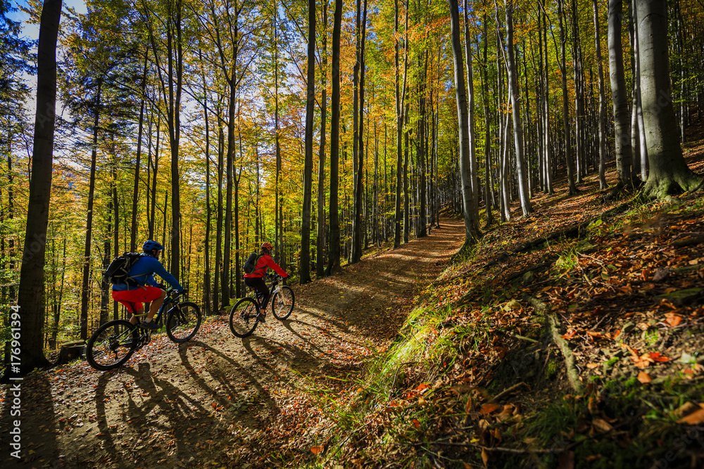Fototapeta premium Cycling, mountain biker couple on cycle trail in autumn forest. Mountain biking in autumn landscape forest. Man and woman cycling MTB flow uphill trail.