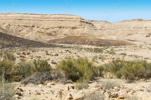 Breathtaking landscape of the desert