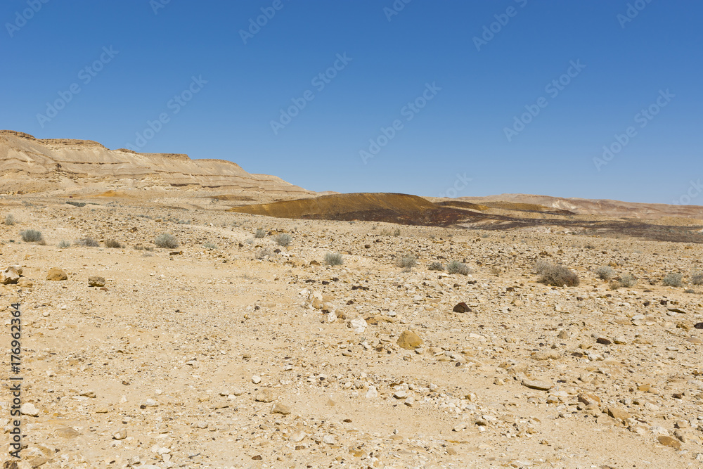 Breathtaking landscape of the desert