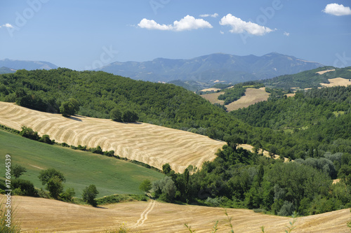 Summer landscape in Marches near Urbino
