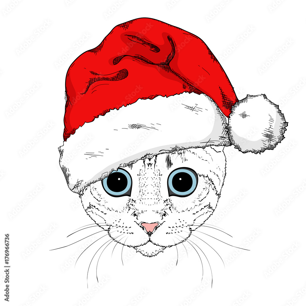 Santa hat illustration related set - Stock Illustration [93004635] - PIXTA