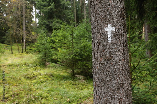 Christian cross on the tree trunk