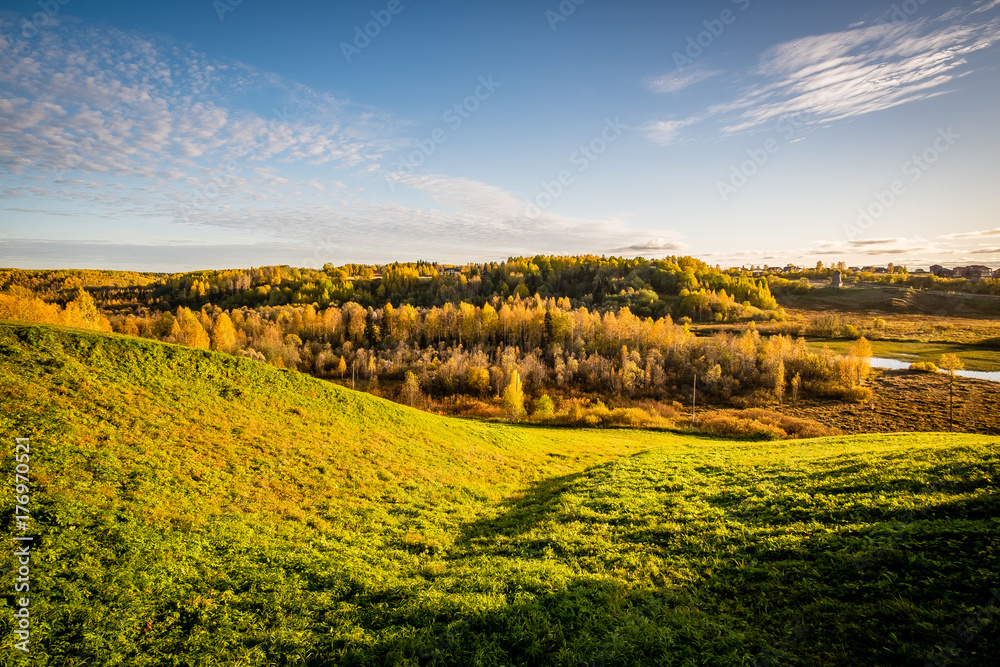Fototapeta premium autumn forest with green yellow and red trees