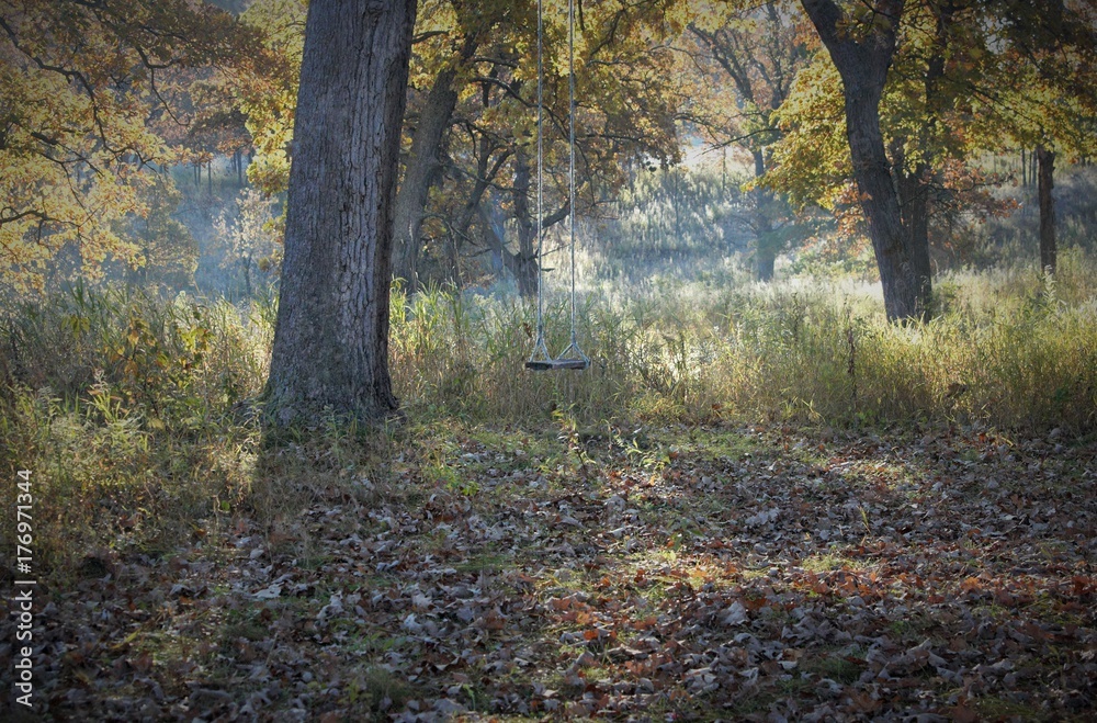 Old Swing In Misty Autumn Colors Old Swing In Misty Autumn Colors