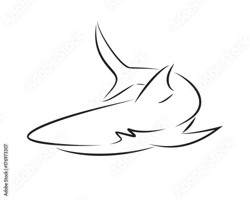 Black line shark on white background. Hand drawing vector graphic.