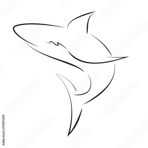 Black line shark on white background. Hand drawing vector graphic.