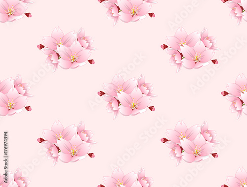 Sakura Cherry Blossom Flowe...