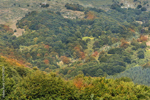 Beautiful Colorful Autumn Mountain © boryanam