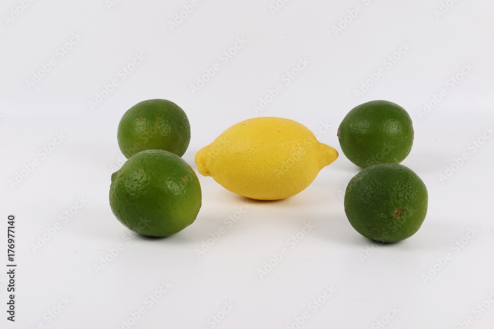 Zitronen und Limetten liegen im Studio Zitronen und Limetten liegen im Studio