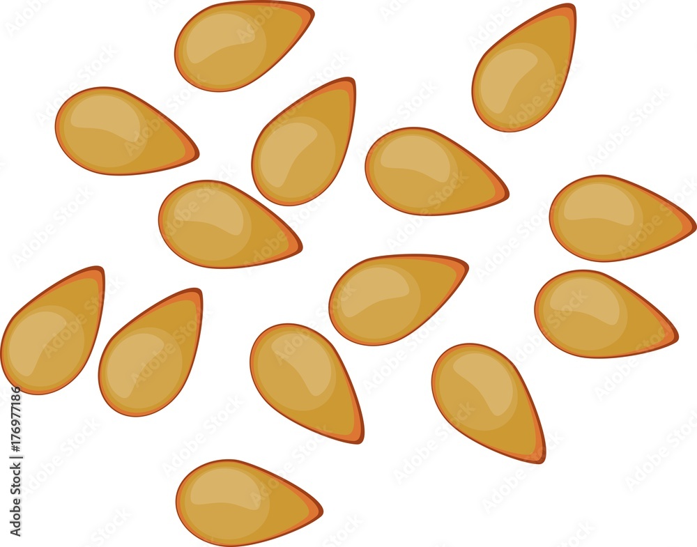 Seeds of tomato on white background Seeds of tomato on white background