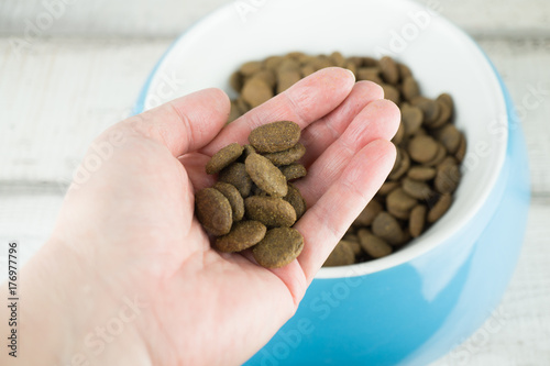 Hundefutter wird von einer Hand in einem blauen Napf getan, Holzhintergrund und Textfreiraum photo