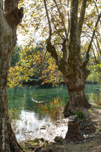 Fontaine de Vaucluse - Vaucluse photo