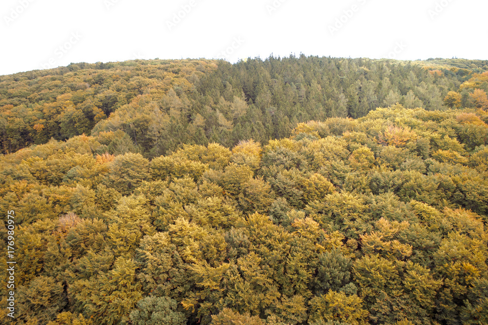 Aerial drone view of colorful, wonderful, amazing, autumn forest, wienerwald, lower-austria