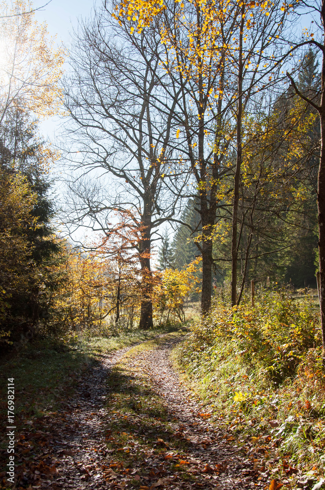 Herbststimmung