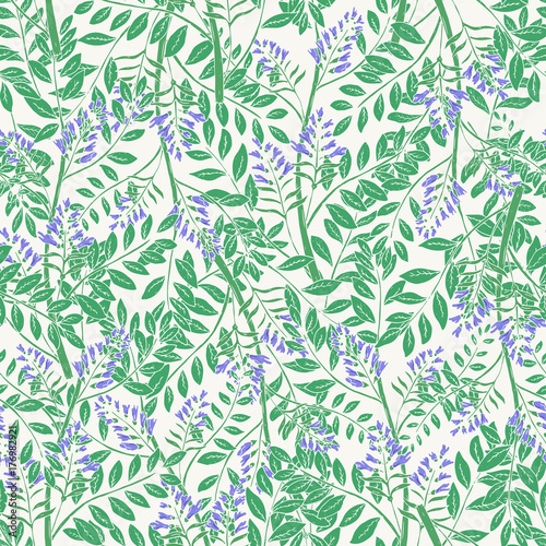 Elegant floral seamless pattern with licorice inflorescences, stems and leave...