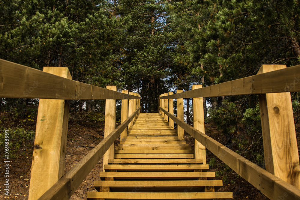 Wooden stairs to pine forest in Ogre Blue hills park