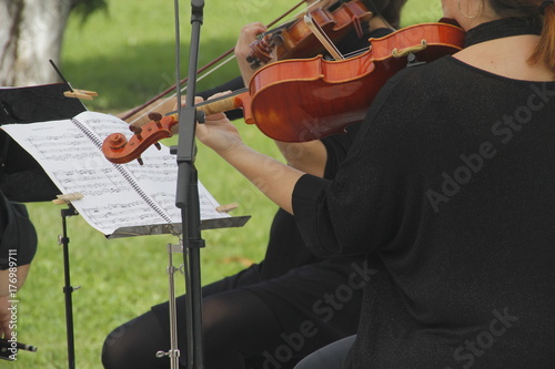 Violinista photo