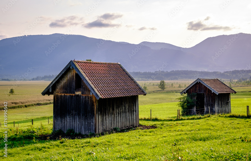 landscape murnauer moos - bavaria