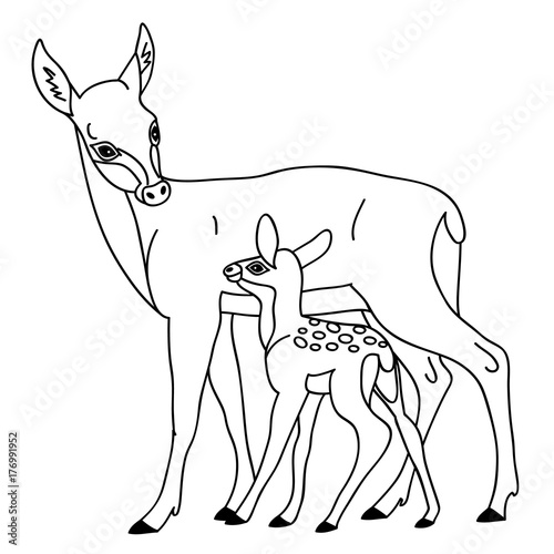 Vector Cute Cartoon Deers