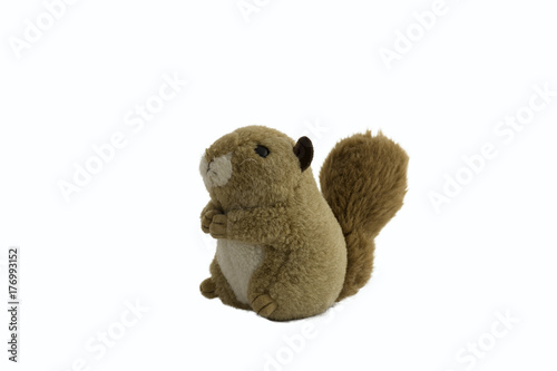 squirrel  doll sitting isolated on white background
