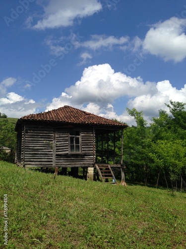 Georgian house Oda
