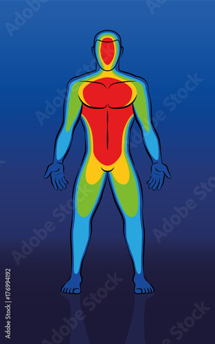 Thermal image - male body, front view - infrared thermography of a naked man with cooler blue areas at edge regions like hands and feet and the much warmer red torso. Schematic vector illustration.