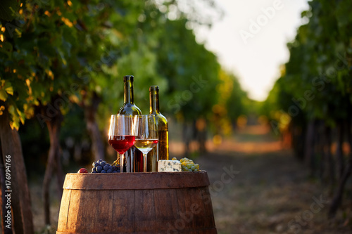 Canvas Print Wine tasting in the vineyard