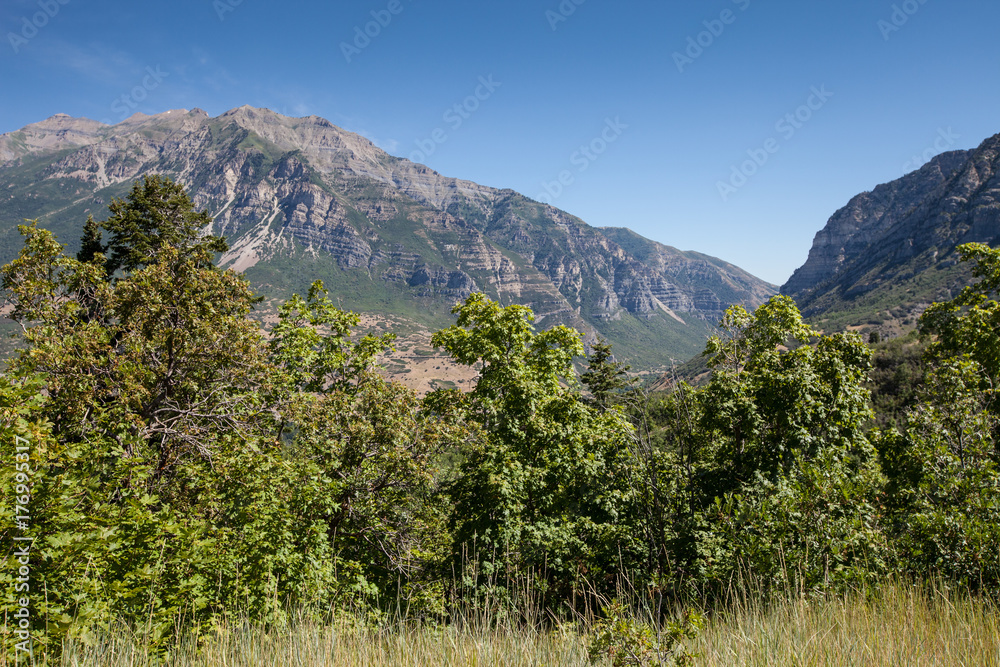 
Beautiful landscape view of Provo Canyon with light blue sky and vibrant green plants trees in front
