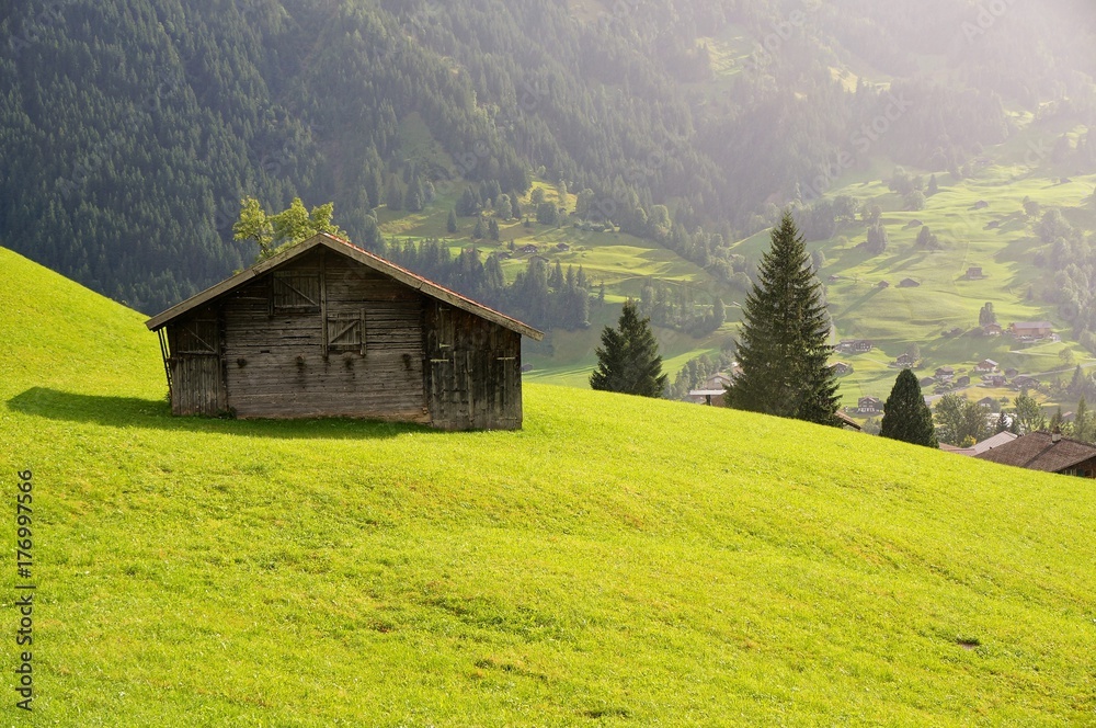 Little house and the green field with the mountain as background in the rainy day. Grindelwald, Jungfrau region, Switzerland