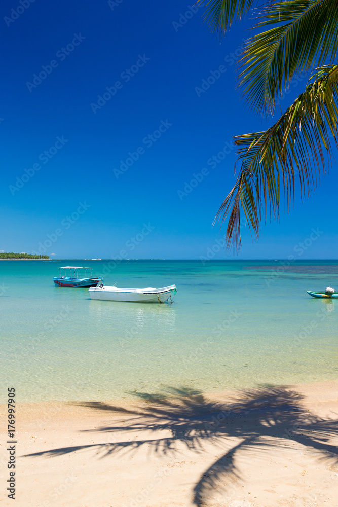 beach and tropical sea