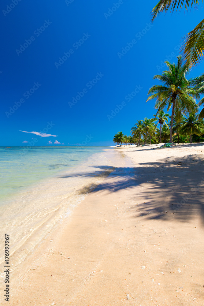 beach and tropical sea