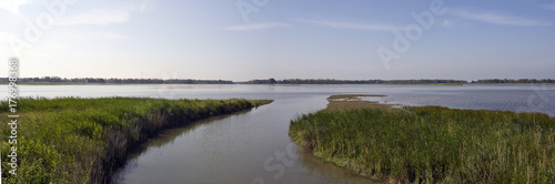 Hollandse biesbosch