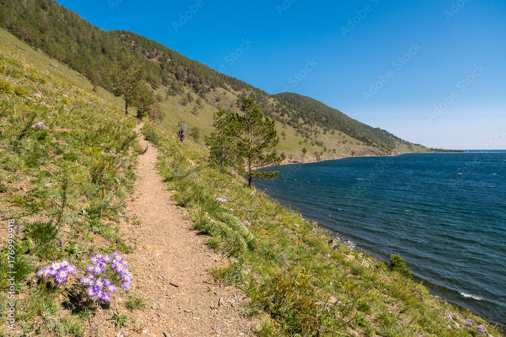 The Great Baikal Trail in the Pribaikalsky National Park