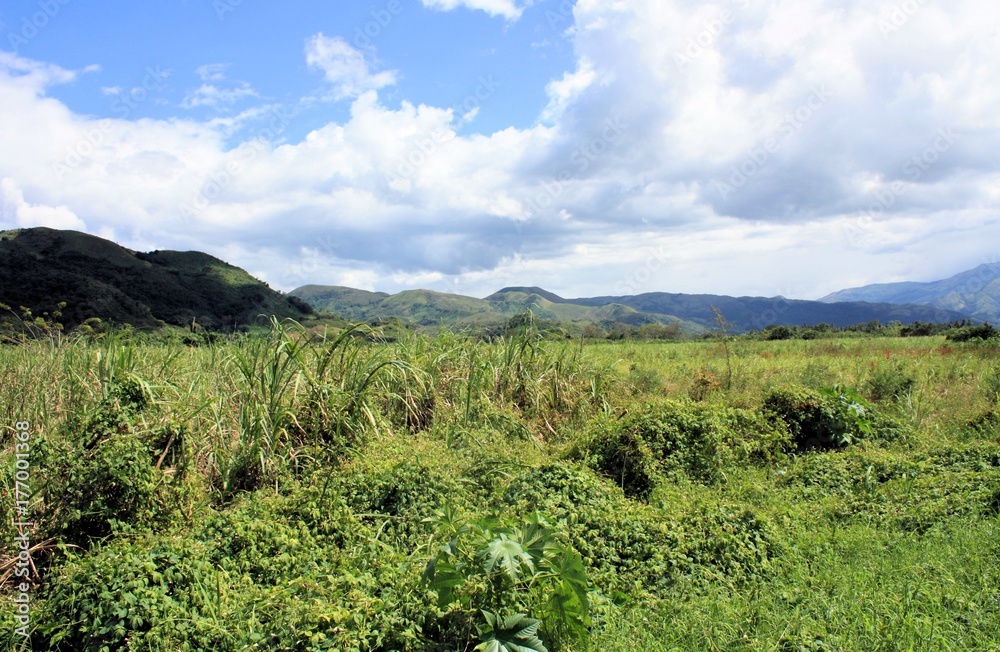 green field in Venezuela