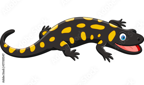 cartoon happy salamander isolated on white background photo