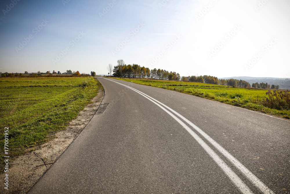 Naklejka premium autumn road 