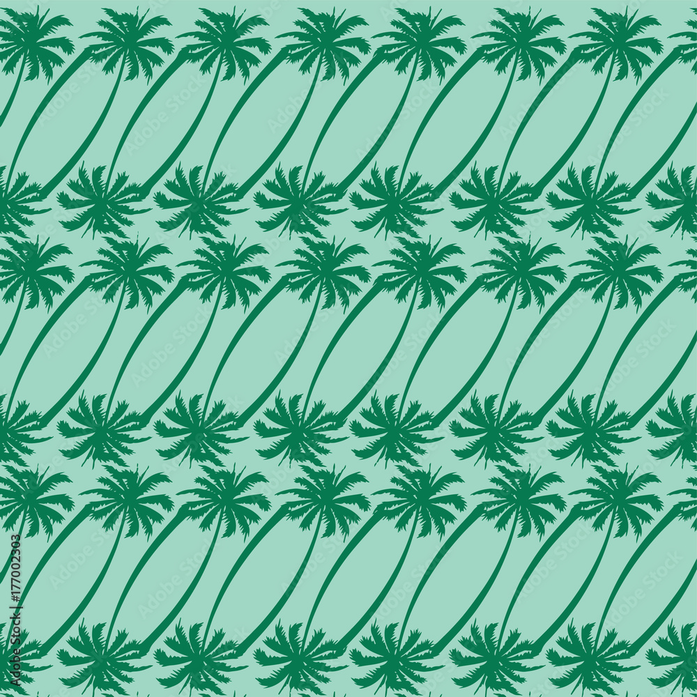 tropical palm tree nature