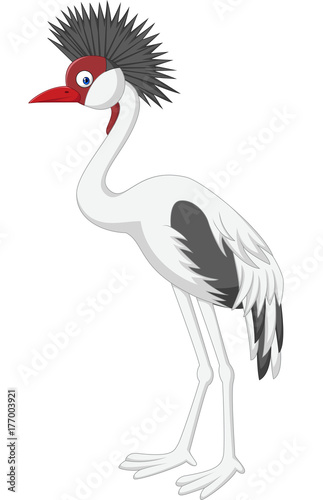 Cartoon crowned crane bird