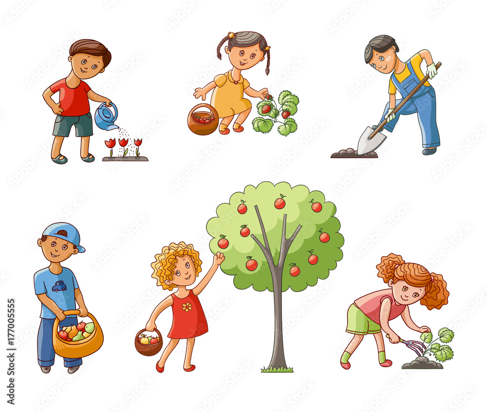 Kids, children helping in the garden – digging and spudding, setting and watering  plants, harvesting apples, flat cartoon vector illustration isolated on  white background. Kids helping in the garden Stock Vector |