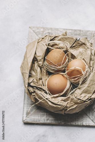 Eggs in a paper nest