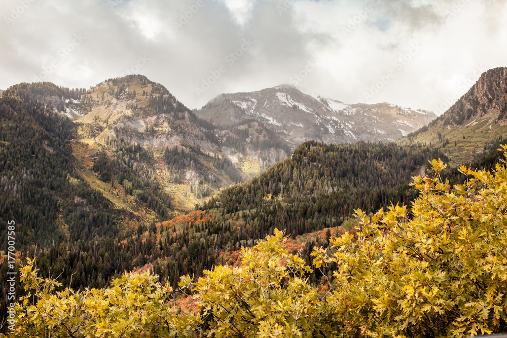 American Fork Canyon fall colors mountain view
