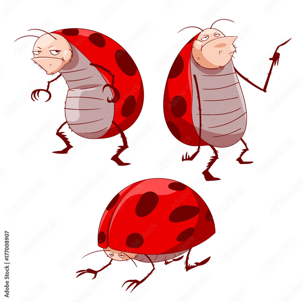 Fototapeta premium Colorful vector illustration of cartoon grumpy ladybugs