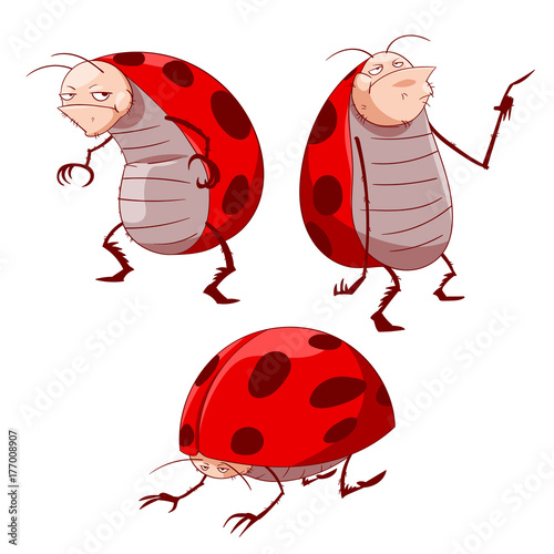 Colorful vector illustration of cartoon grumpy ladybugs