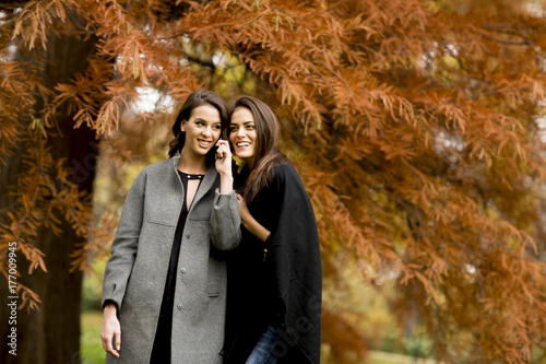 Two pretty young women usin...