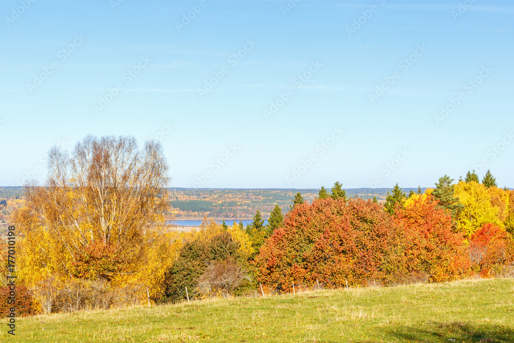 Autumn view of the countryside