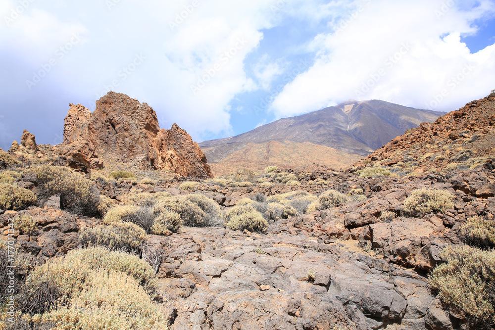 El Teide National Park on Tenerife Island, Canary Islands, Spain El Teide National Park on Tenerife Island, Canary Islands, Spain