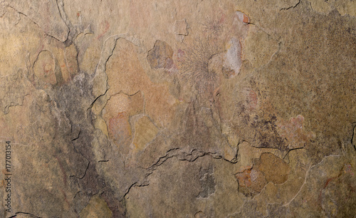 closeup macro macrophotograph microphotograph of rock patterns textures