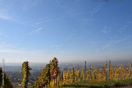 Blick vom Wartberg auf Heilbronn im Herbst mit Weinlaub photo
