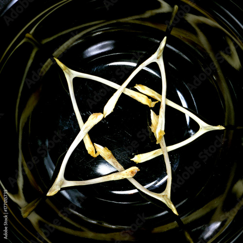 Wishbones in pentagon pentagram shape reflection square crop photo