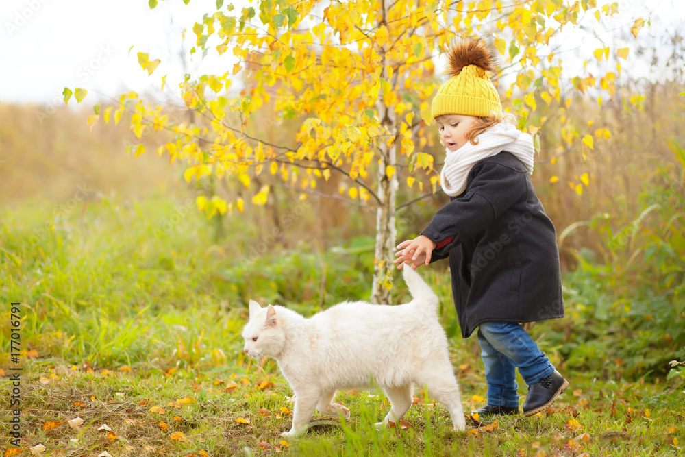 Fototapeta Cute toddler girl walking with cat outdoors, cold day